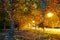 Autumn city at night, maple trees alley with yellow leaves, street lights