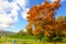 Autumn city park landscape with ship