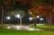 Autumn city park at night, trees with yellow leaves, street lights and benches