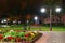 Autumn city park at night, trees with yellow leaves, street lights and benches