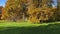 autumn in city park. trees with green and yellow leaves. father and kids walking on glade