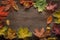 autumn classified on the tree with leaf frame for words and inscriptions, copy space,