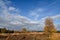 Autumn cloud formation against blue sky over Cannock Chase