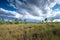 Autumn cloudscape over pinelands and sawgrass in Everglades National Park.