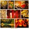 Autumn collage