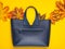 Autumn collection. Leather bag