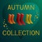 Autumn collection - women boots vector illustration
