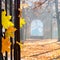 Autumn colonade with a gateway