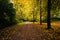 Autumn color along a walkway at Ã˜stre AnlÃ¦g, in Copenhagen, De