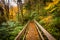 Autumn color and bridge on the Tanawha Trail, along the Blue Rid