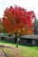 Autumn Color at Fort Walla Walla, Washington