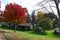 Autumn Color at Fort Walla Walla, Washington