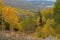 Autumn Color on the Grand Mesa