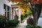 Autumn color and house in Easton, Maryland.