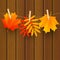 Autumn color leaves on dark wooden background