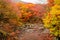 Autumn color in Naejangsan national park, South korea