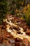 Autumn Color in San Juan and Rocky Mountains of Colorado