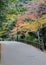 Autumn color trail in Minoh park, Japan