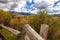 Autumn Coloras in the Yampa River Valley