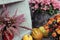 Autumn colored flowers and orange pumpkins with a grey background
