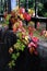 Autumn colored leaves trail down from railing