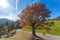 Autumn colored oak with road and cyclist in the background, South Tyrol