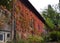 Autumn colored vines covering the facade