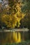 Autumn colorful foliage over lake in Lazienki Krolewskie Park in Warsaw, Poland