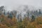 Autumn colorful forest covered in mist in a rainy day