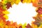 Autumn colorful leaves as border with white space for text. Top view. Fall frame.