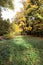 Autumn with colorful leaves at botanical garden.