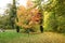 Autumn with colorful leaves at botanical garden.