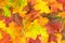 Autumn colorful leaves. Top view. Fall pattern.