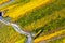 Autumn Colorful Moselle Landscape and Vineyards