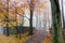 Autumn Colorful Pathway on The Petersberg Koenigswinter Germany
