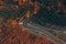 Autumn colorful roadway through scenic woods