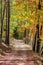 Autumn colorful trees with path, Czech landscape