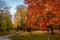 Autumn colorful vegetation of Queens Park - Toronto, Ontario, Canada