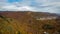 Autumn colorfull forest aerial panorama