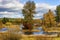 Autumn Colors along the Williamson River, Klamath County Oregon