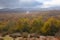 Autumn colors in the beech forests of the Aralar mountain range, Navarra.