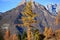 Autumn colors on the Belluno Dolomites
