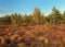 Autumn Colors In The Black Moor In The Rhoen Mountains Germany On A Beautiful Sunny Autumn Day