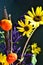 Autumn colors bouquet orange pumpkin yellow sunflower brown millet grass purple filler closeup vertical