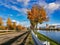 Autumn colors are bright and juicy. Outskirts of Strasbourg, Rhine