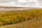 Autumn colors in Buffalo Pound Provincial Park