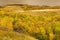 Autumn colors in Buffalo Pound Provincial Park