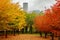 Autumn colors in Chicago
