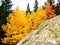 Autumn Colors in Colorado Mountains