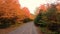 Autumn colors. Colorful fall leaves on forest path. Biking, walking and running trail